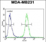SMIM14 Antibody (C-term)